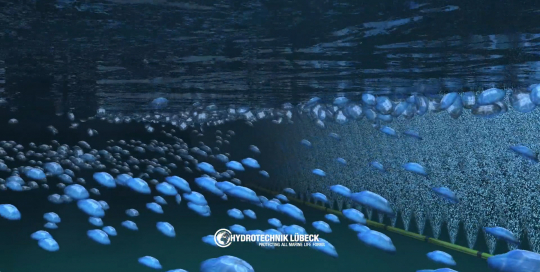 Compressed air jellyfish barrier