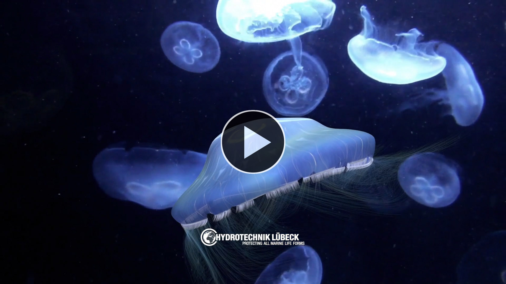 Compressed air jellyfish barrier movie